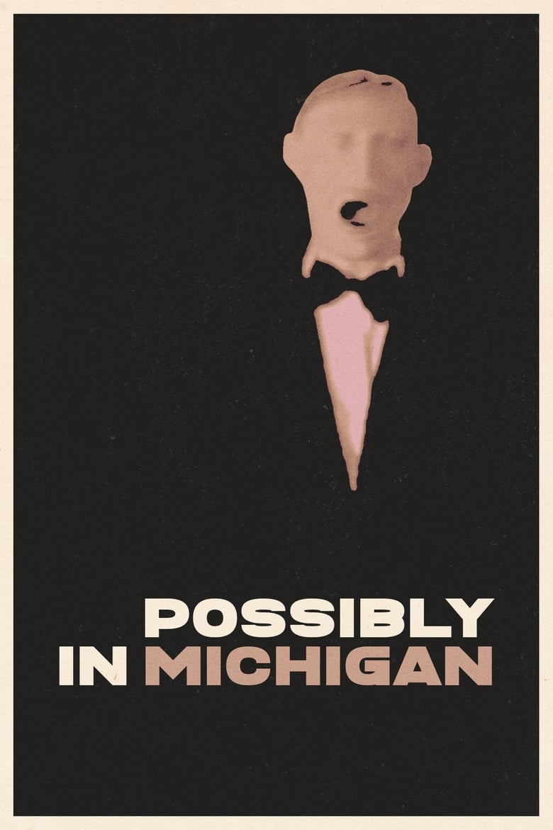 Poster of Possibly in Michigan