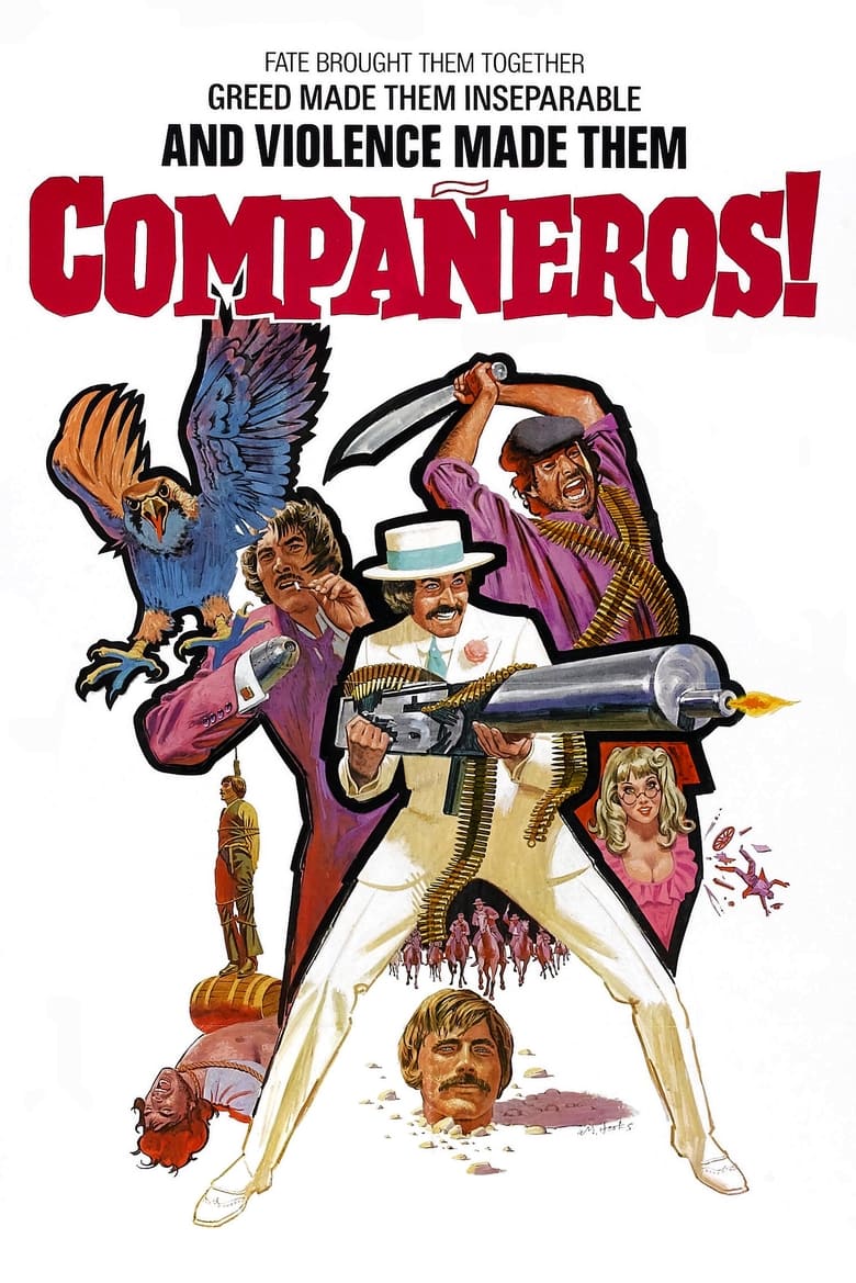 Poster of Compañeros