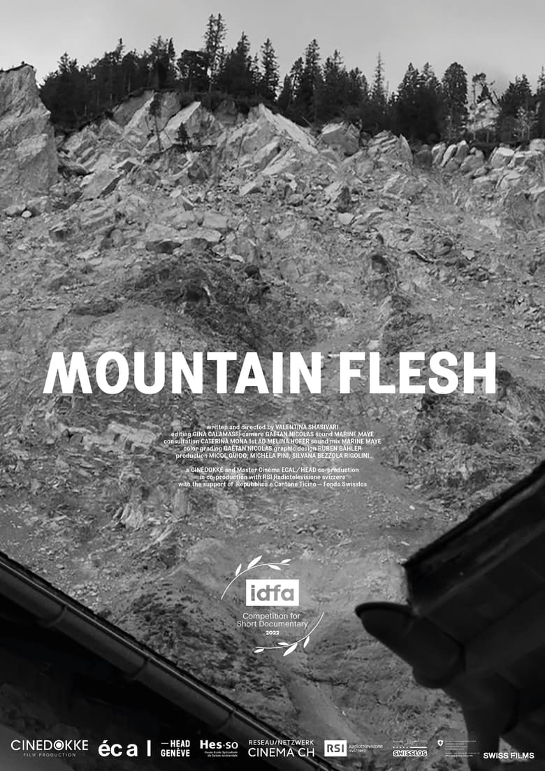 Poster of Mountain Flesh