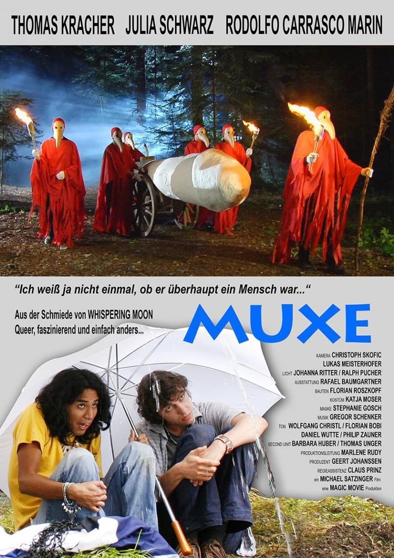 Poster of Muxe