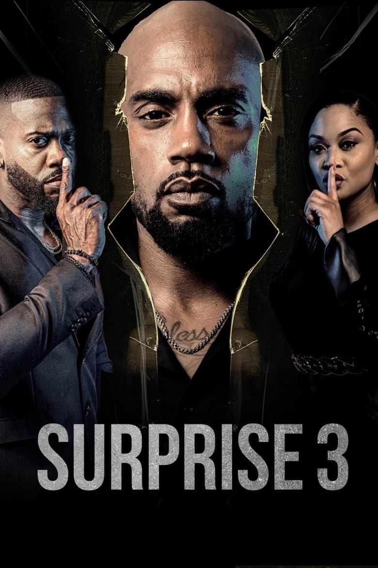 Poster of Surprise 3