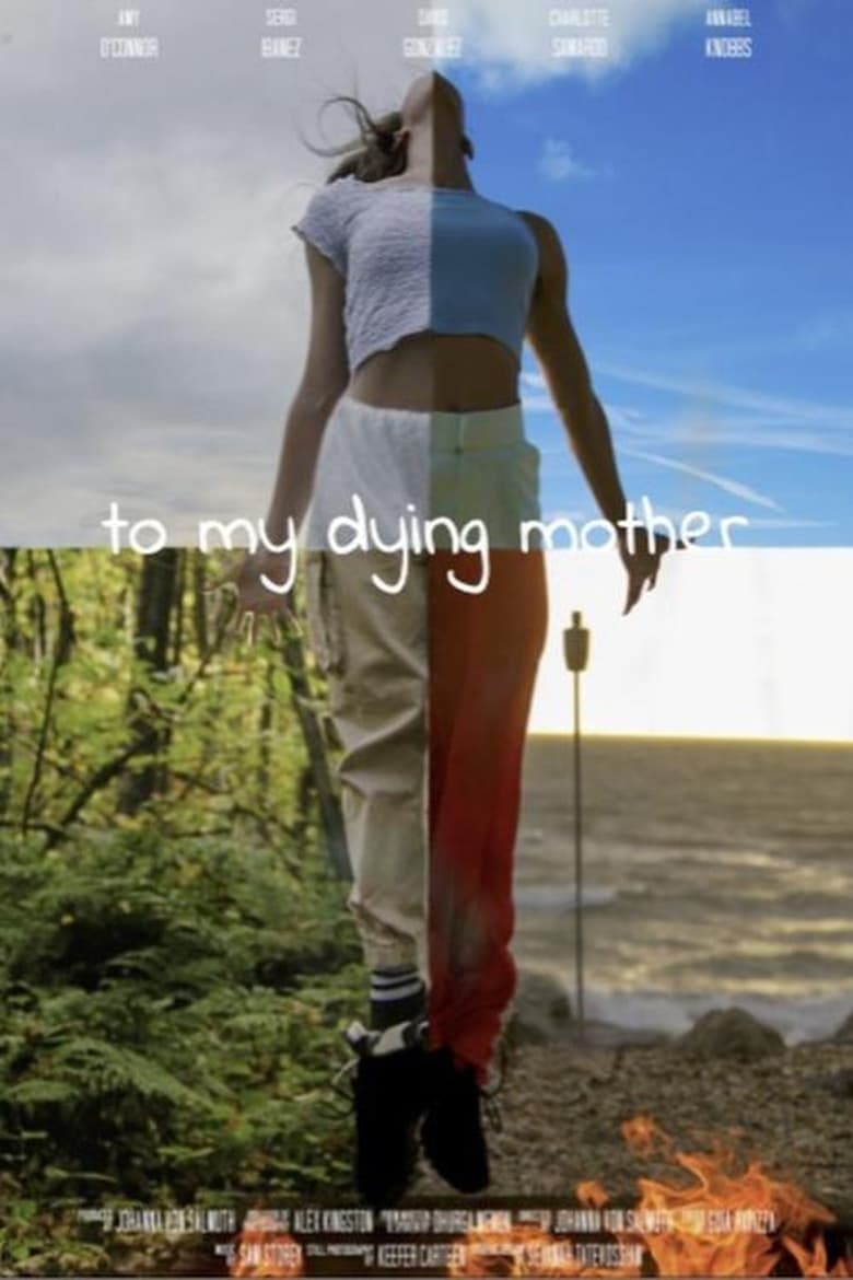 Poster of To My Dying Mother