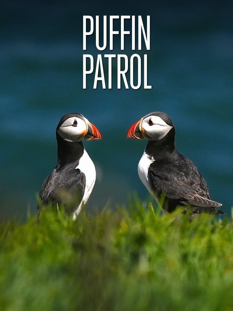 Poster of Puffin Patrol