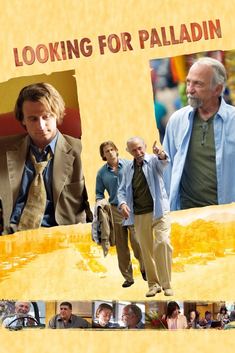 Poster of Looking for Palladin