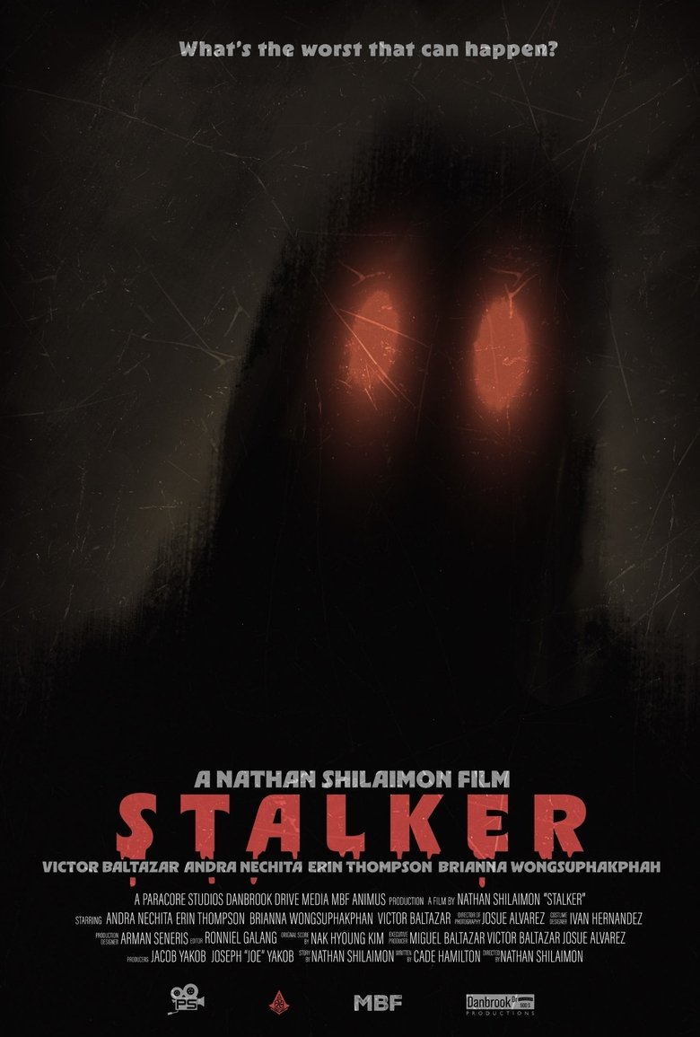 Poster of STALKER