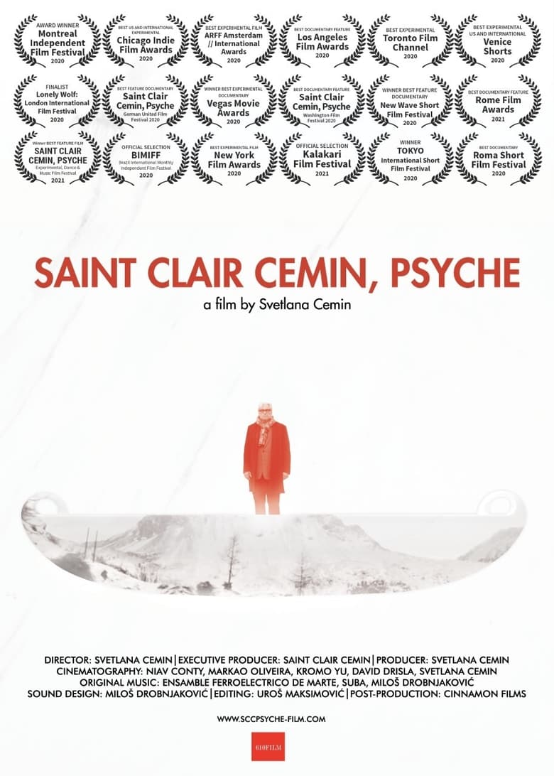 Poster of Saint Clair Cemin, Psyche