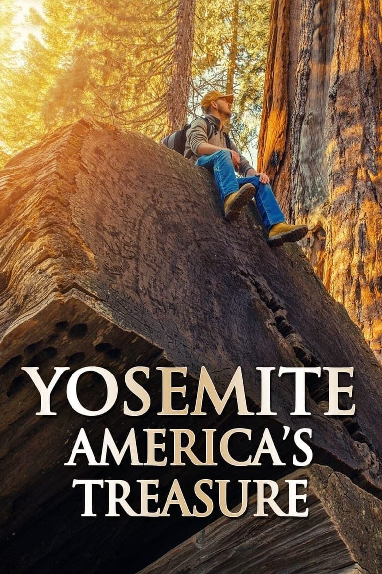 Poster of Yosemite Americas Treasure