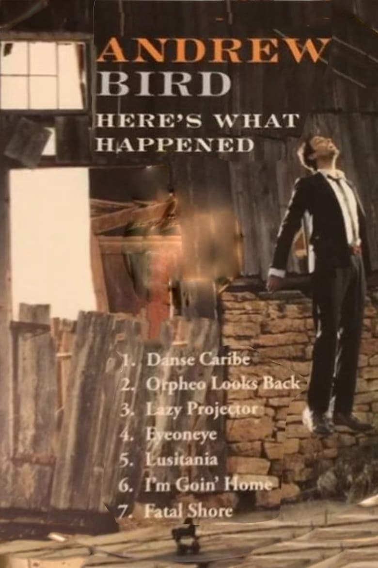 Poster of Andrew Bird: Here's What Happened