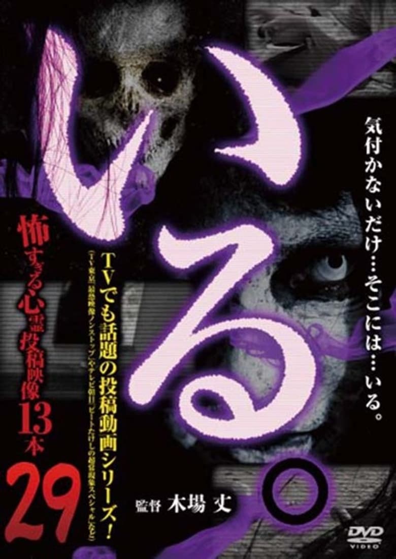 Poster of 「Iru.」~ Kowasugiru Tōkō Eizō 13-hon ~ Vol.29