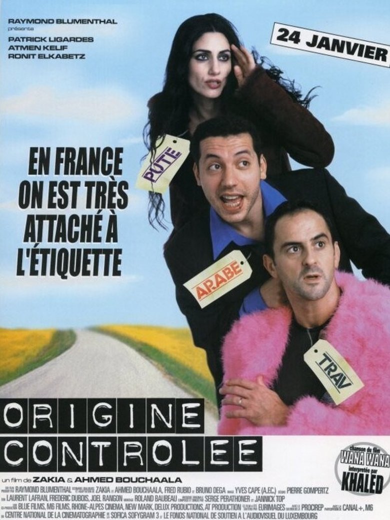 Poster of Made in France