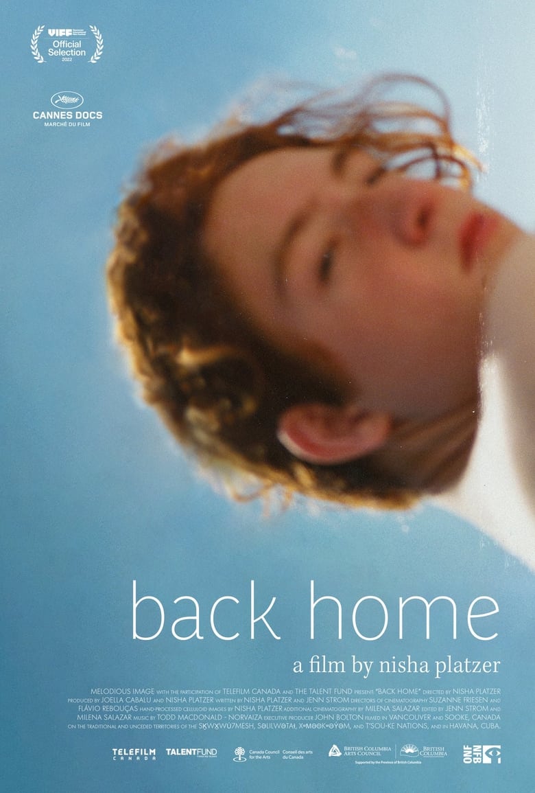 Poster of back home