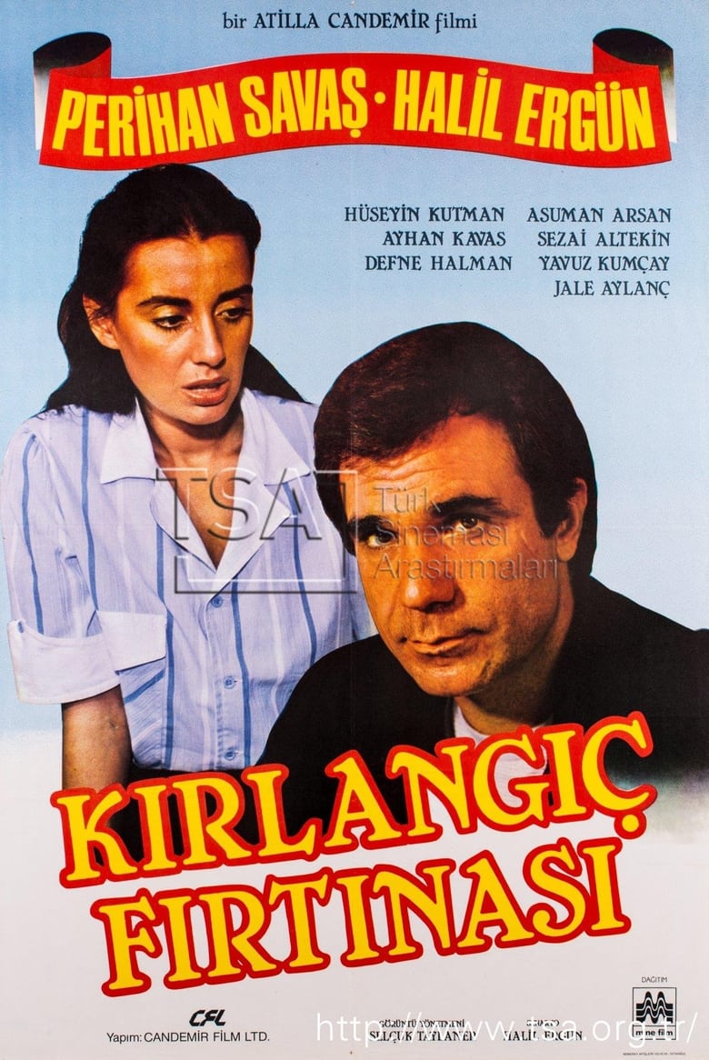 Poster of Kırlangıç Fırtınası