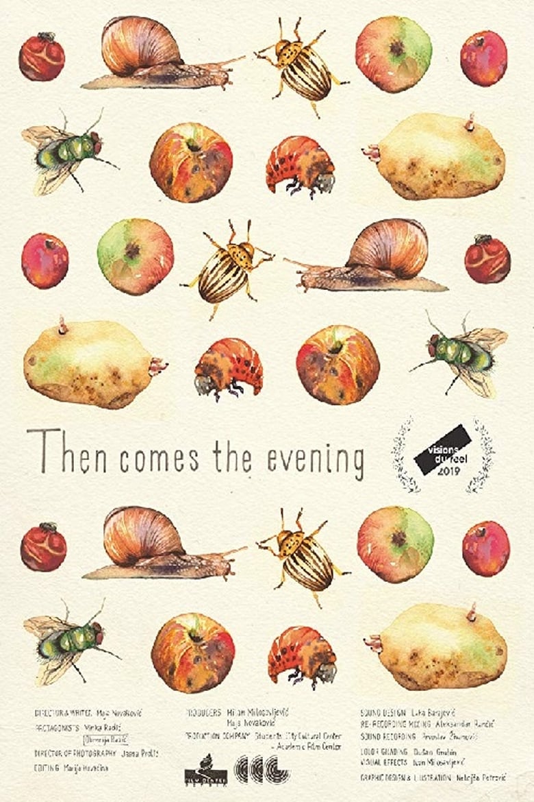 Poster of Then Comes the Evening