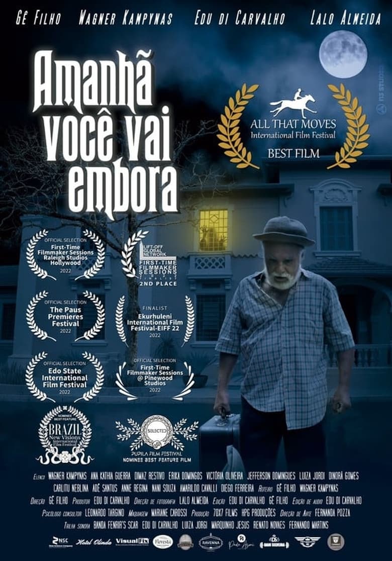 Poster of Amanhã você vai embora