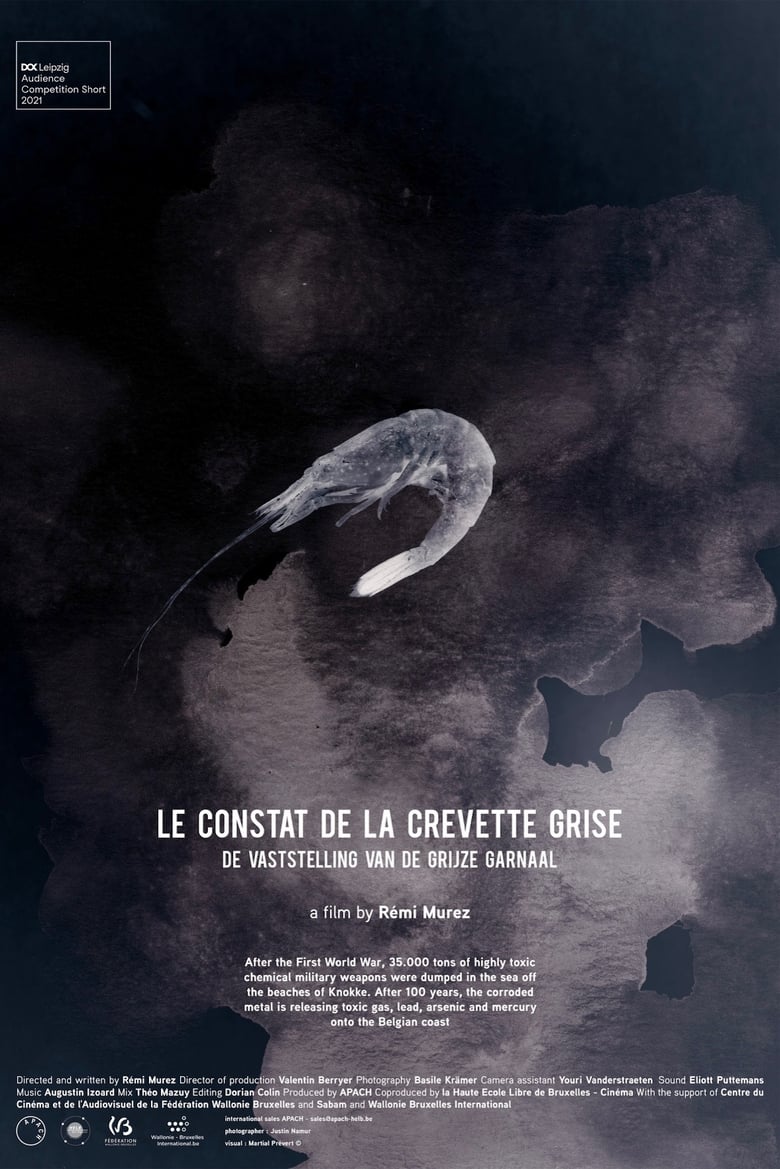 Poster of The Gray Shrimp Report