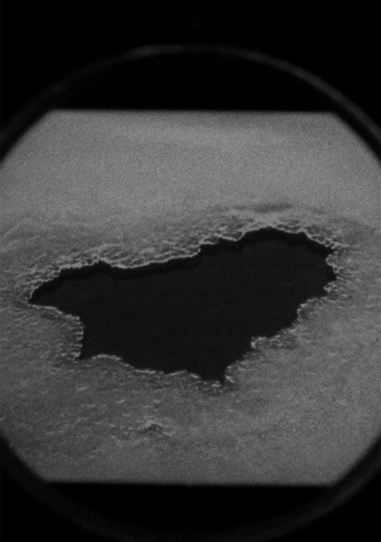 Poster of Polar