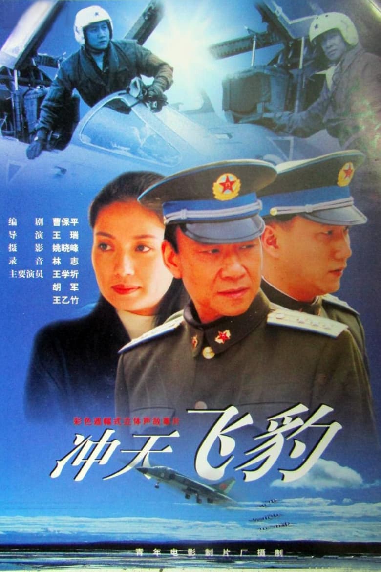 Poster of 冲天飞豹