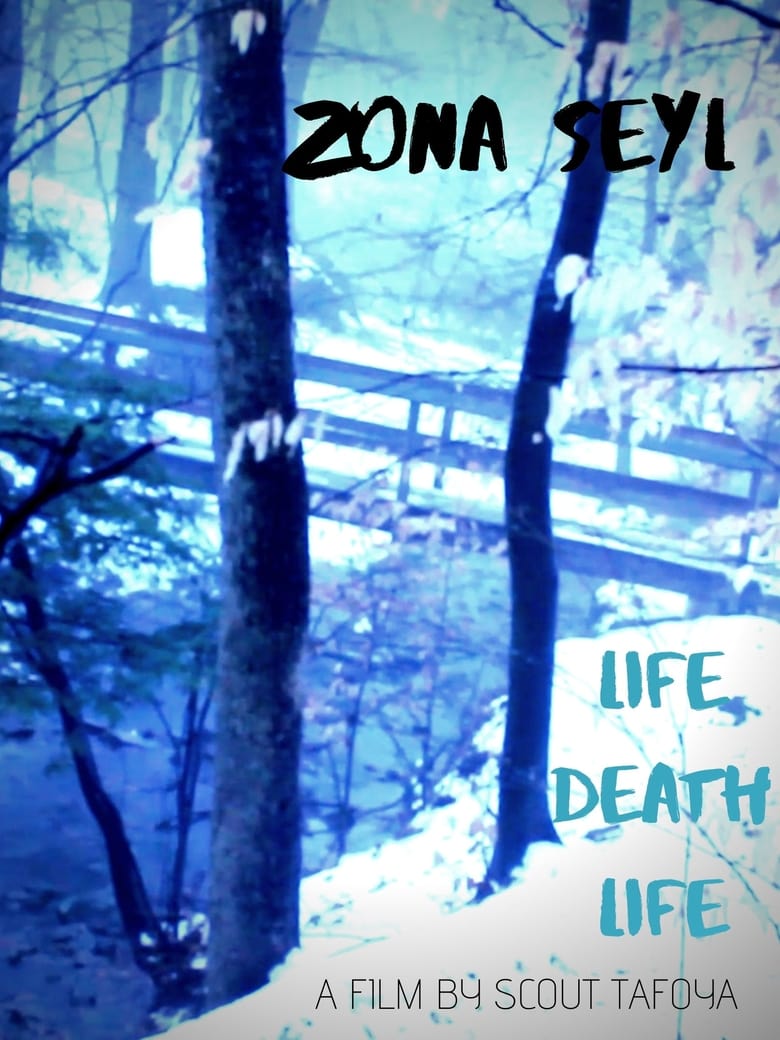 Poster of Zona Seyl