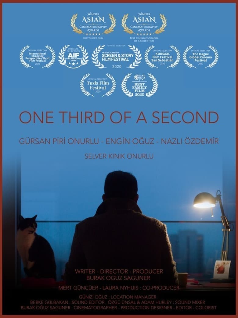 Poster of One Third of a Second