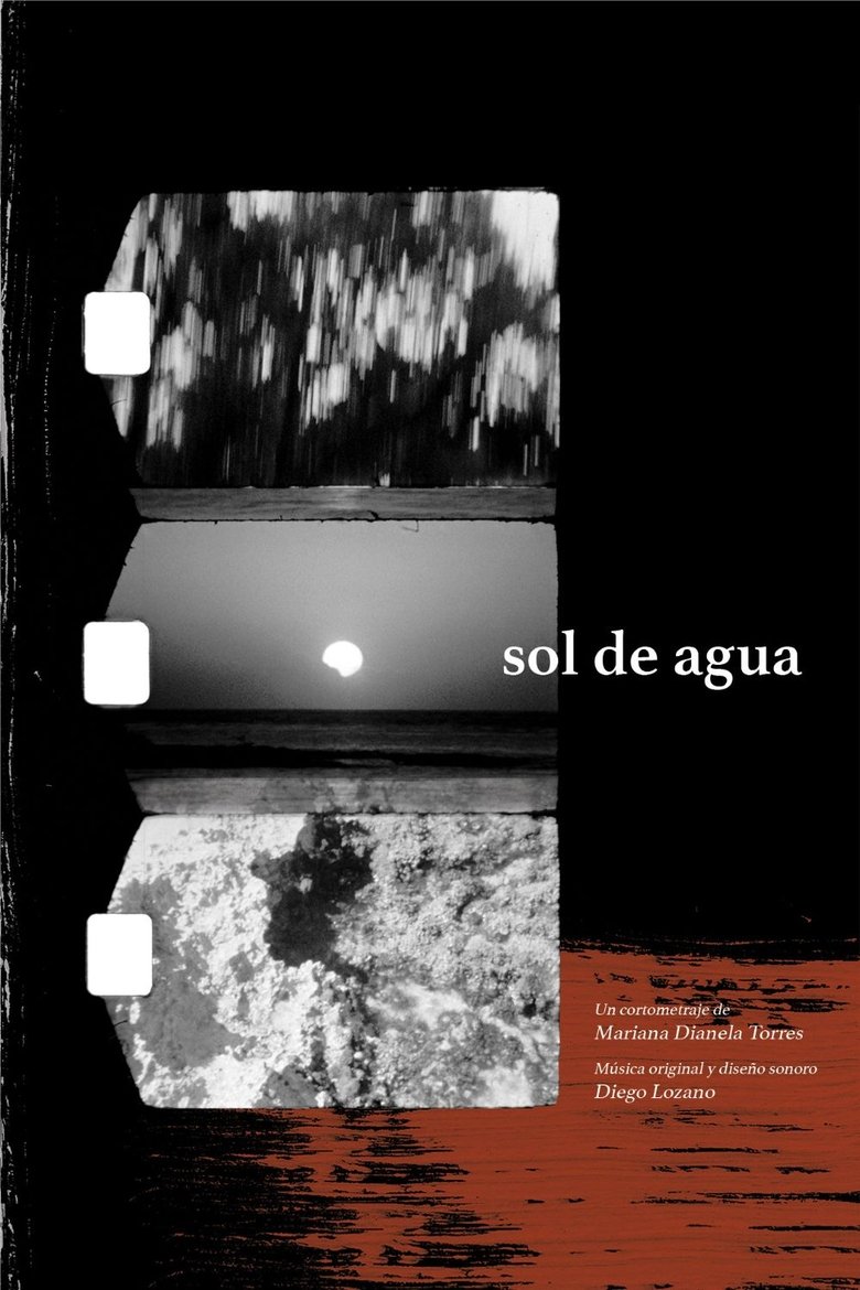 Poster of Sol de agua