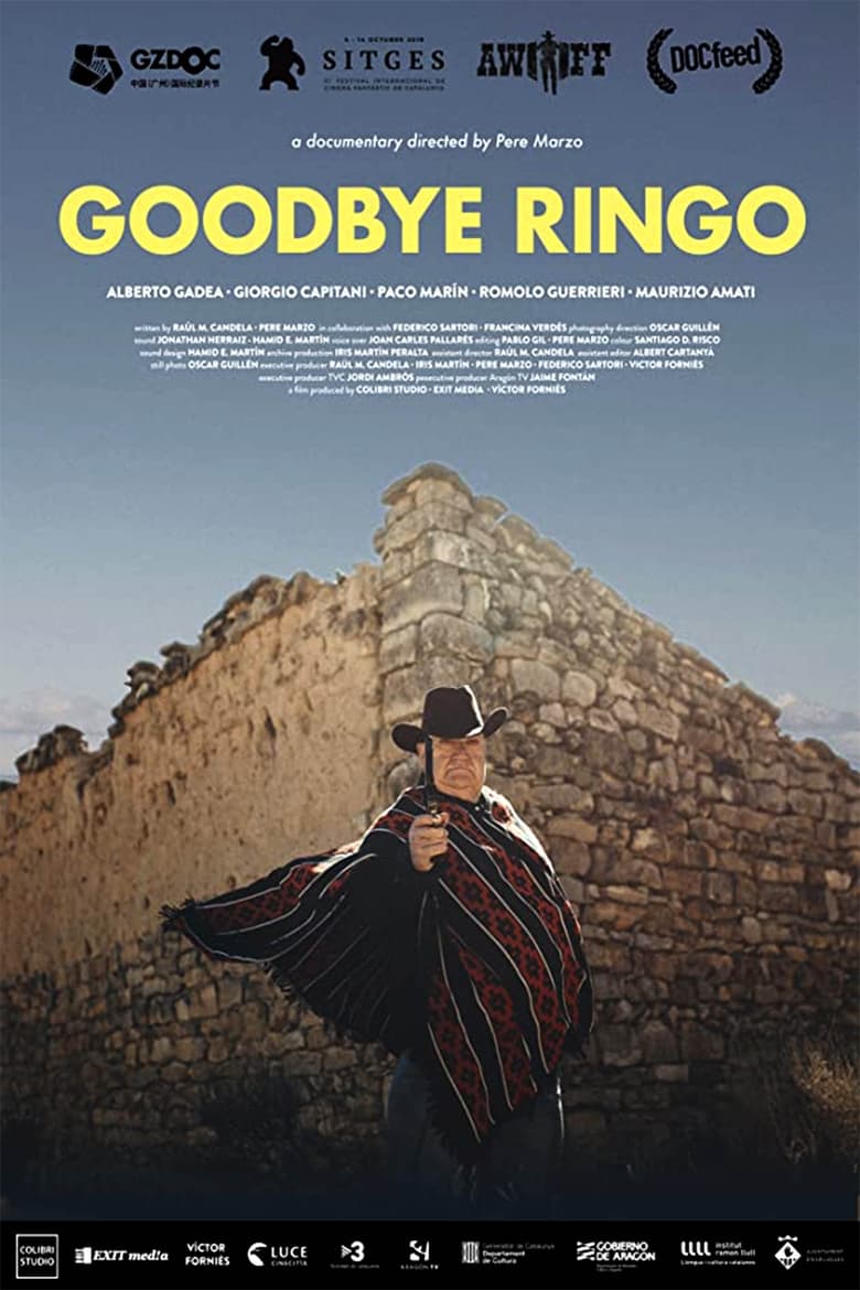 Poster of Goodbye Ringo