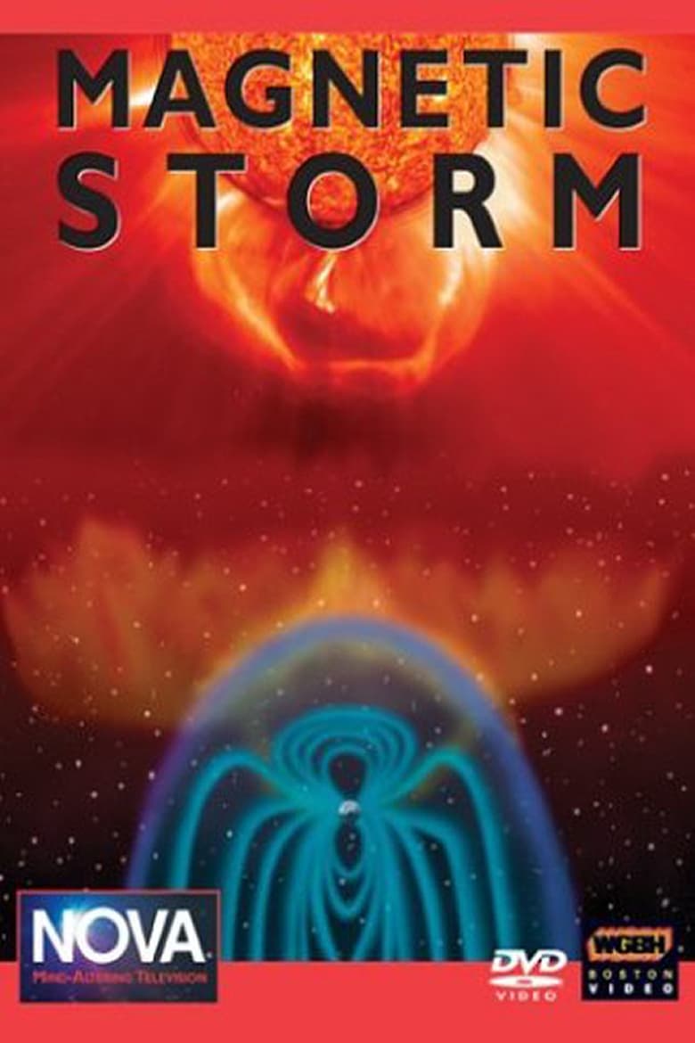 Poster of Magnetic Storm