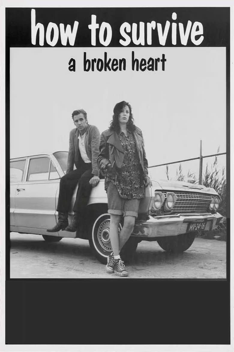 Poster of How to Survive a Broken Heart