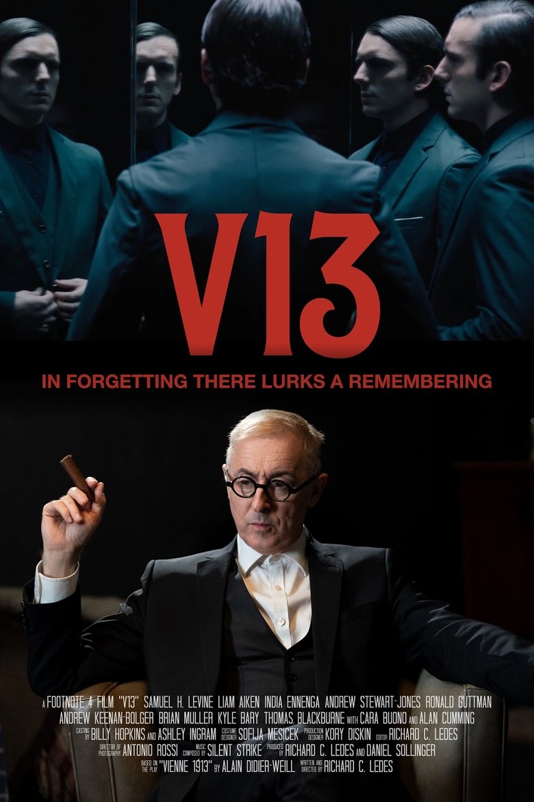 Poster of V13