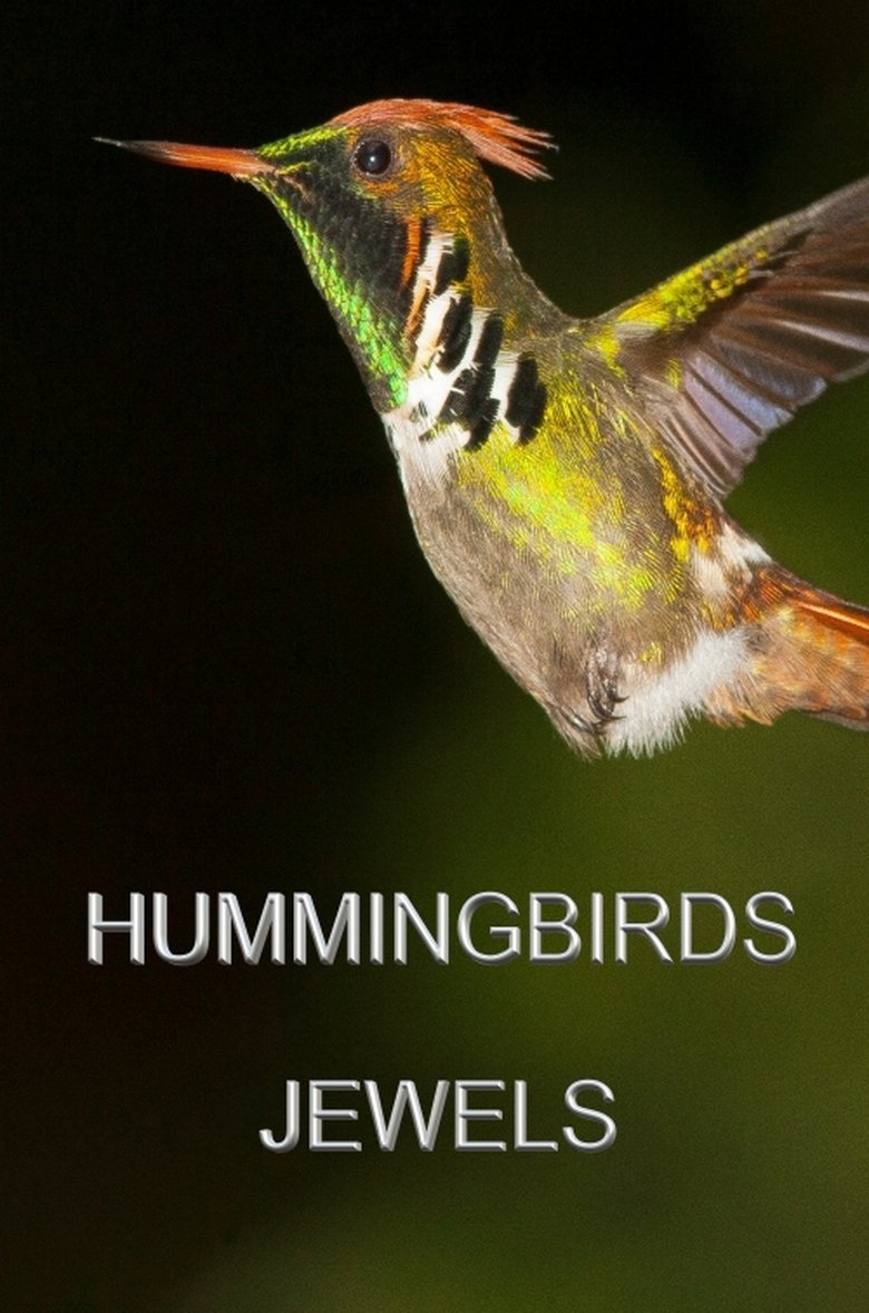 Poster of Hummingbirds Jewels
