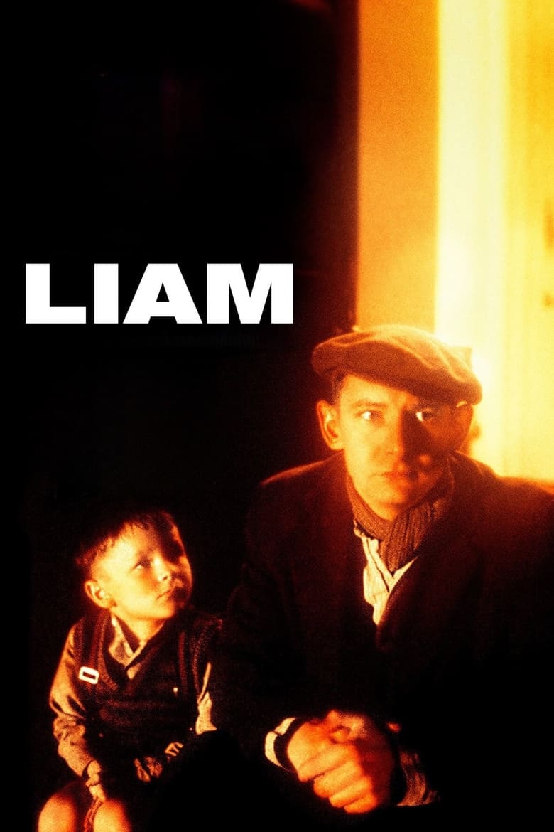 Poster of Liam