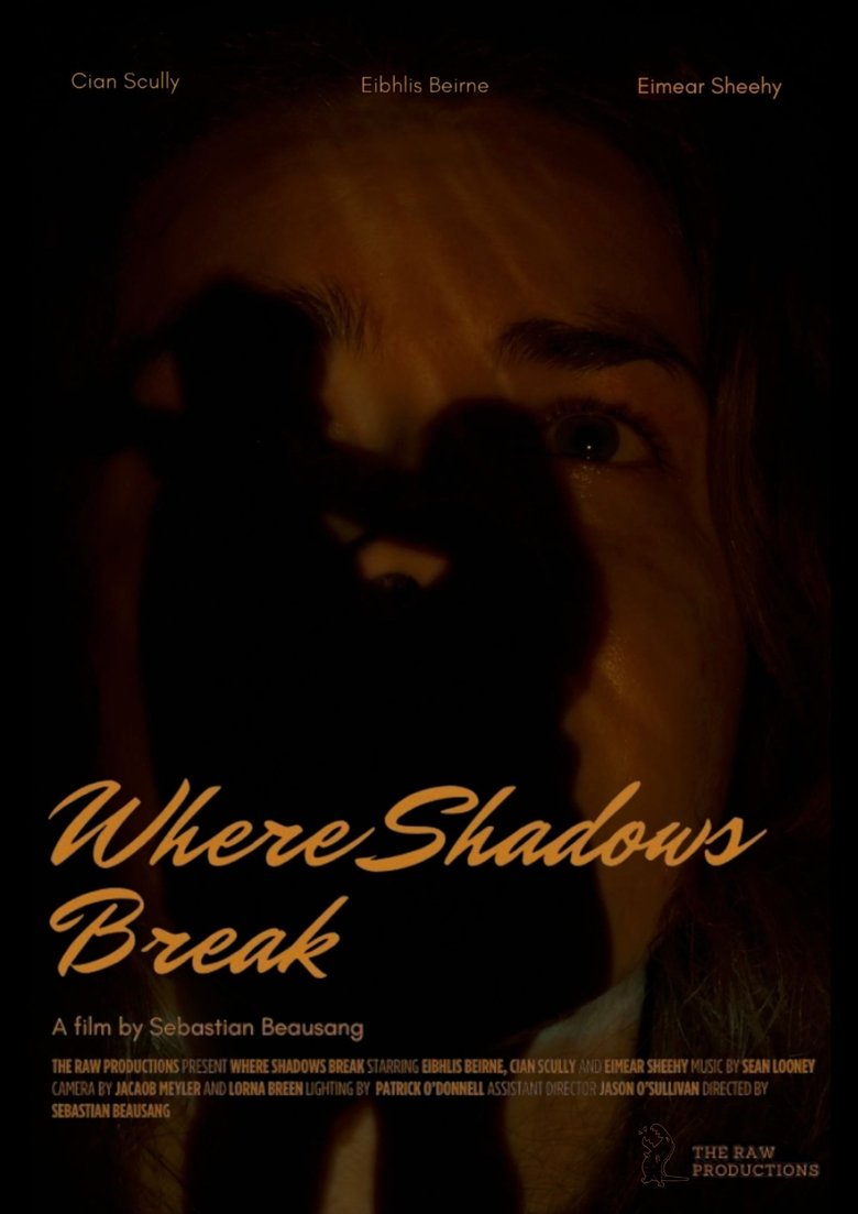 Poster of Where Shadows Break