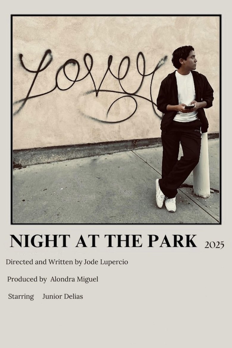 Poster of Night at the Park