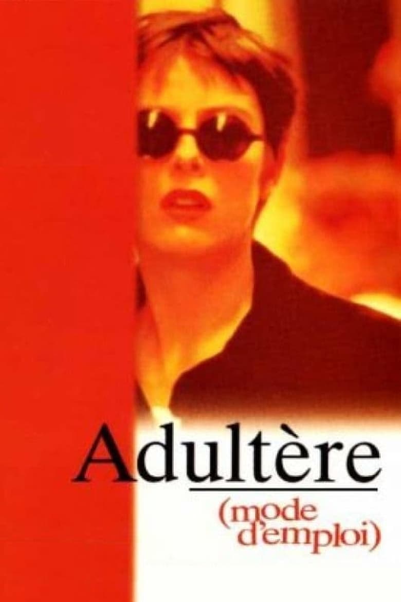 Poster of Adultery (A User's Guide)