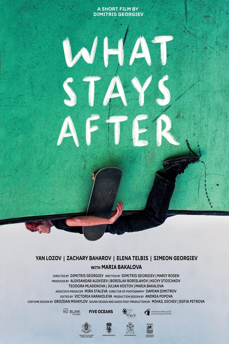Poster of What Stays After