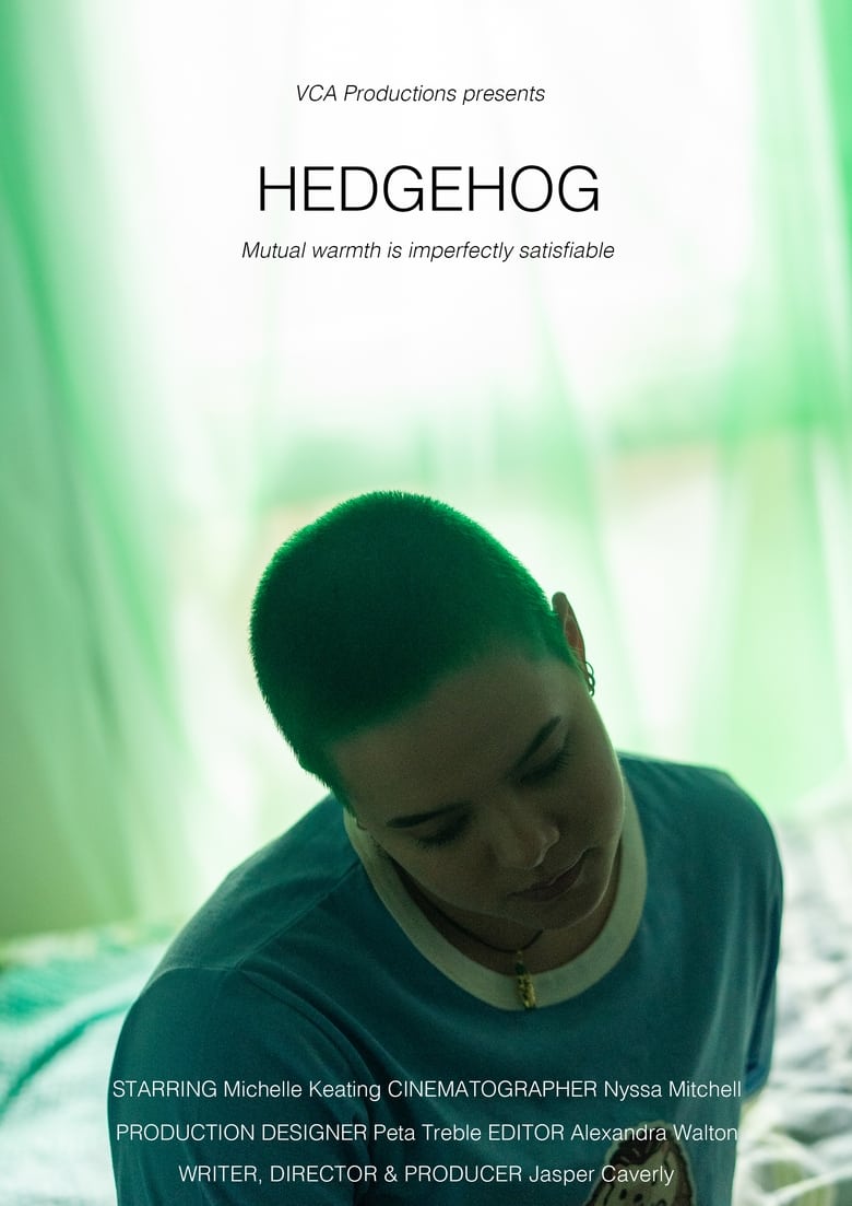 Poster of Hedgehog