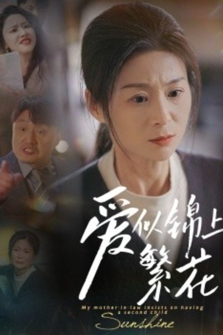 Poster of 爱似锦上繁花