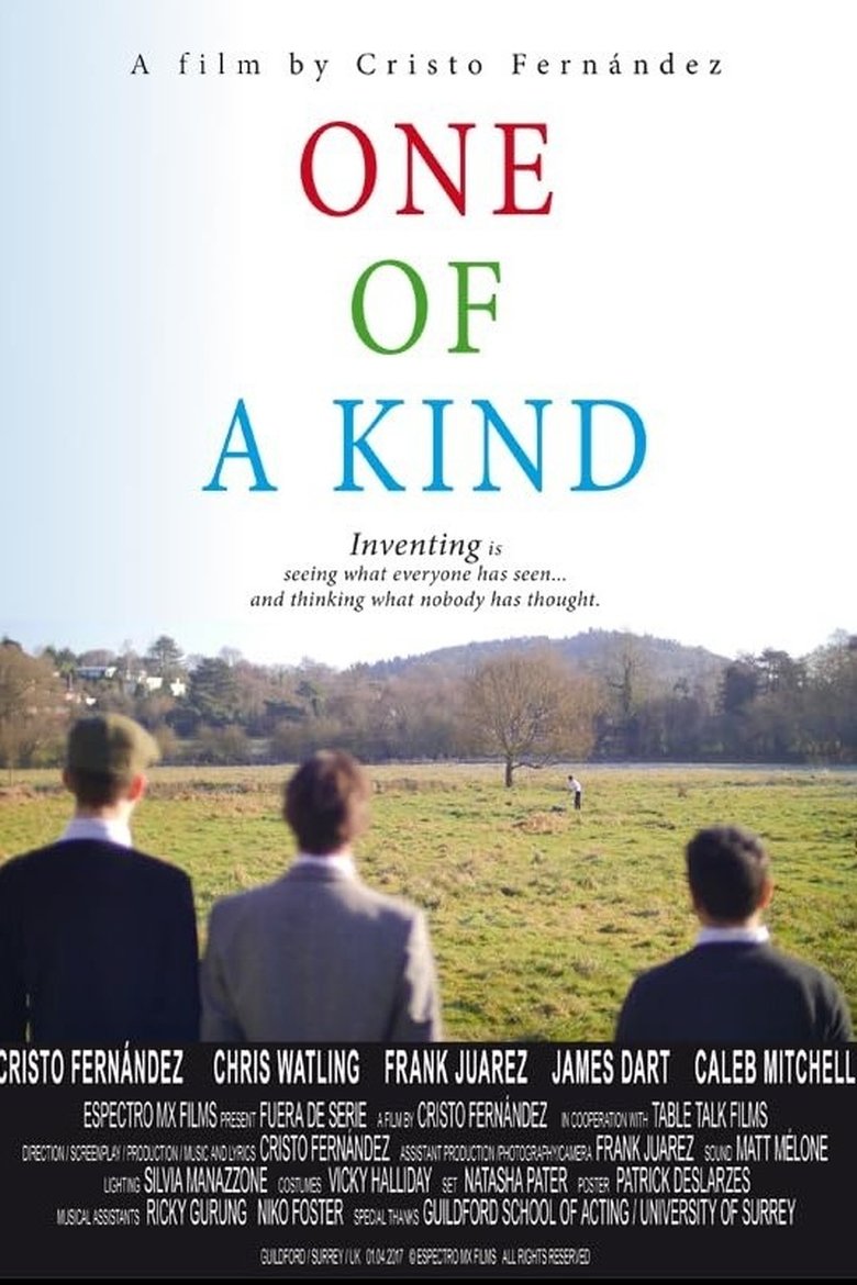 Poster of One of a Kind