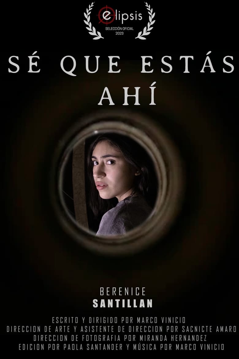 Poster of Sé que estas ahí