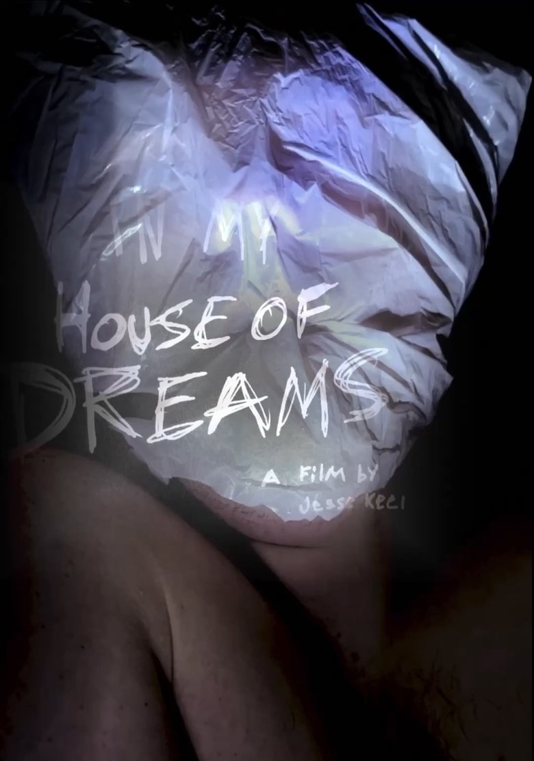 Poster of IN MY HOUSE OF DREAMS