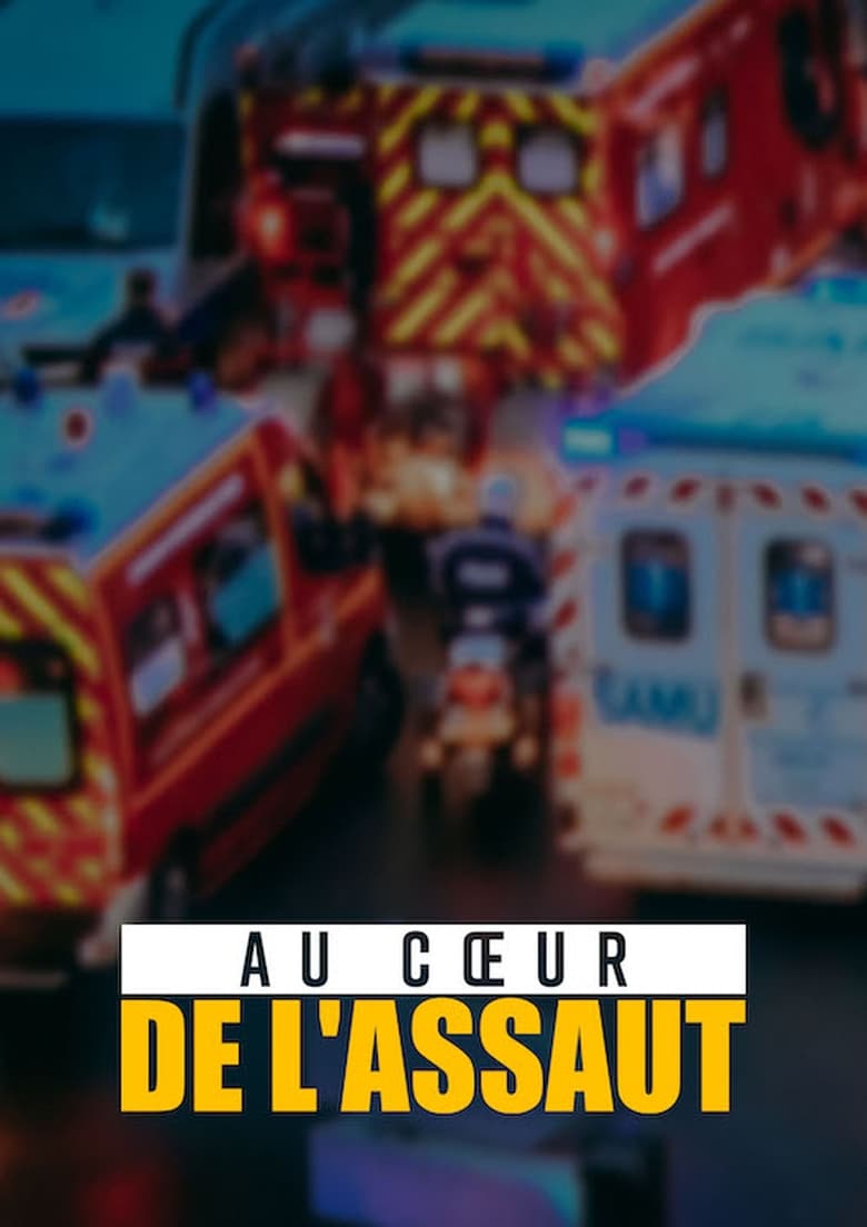 Poster of Au coeur de l'assaut