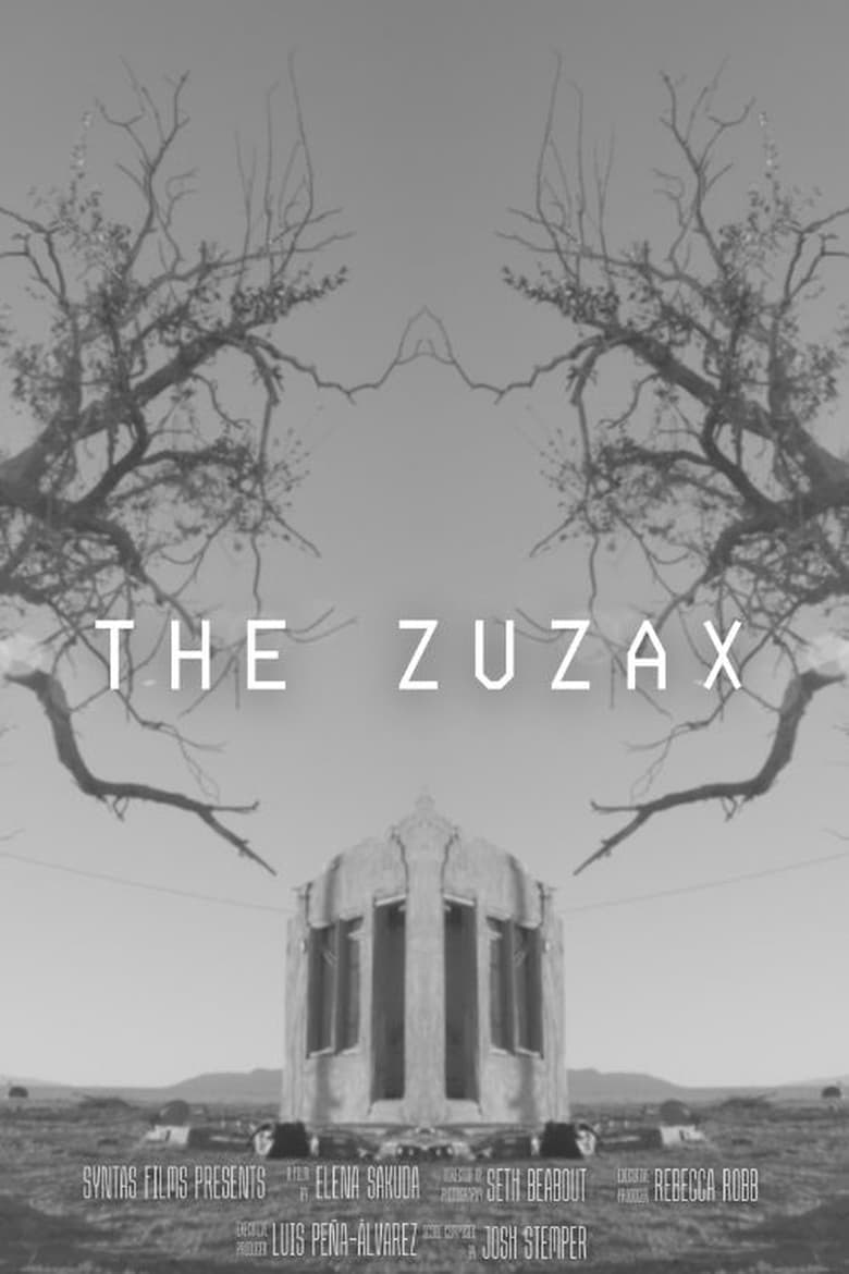 Poster of The Zuzax