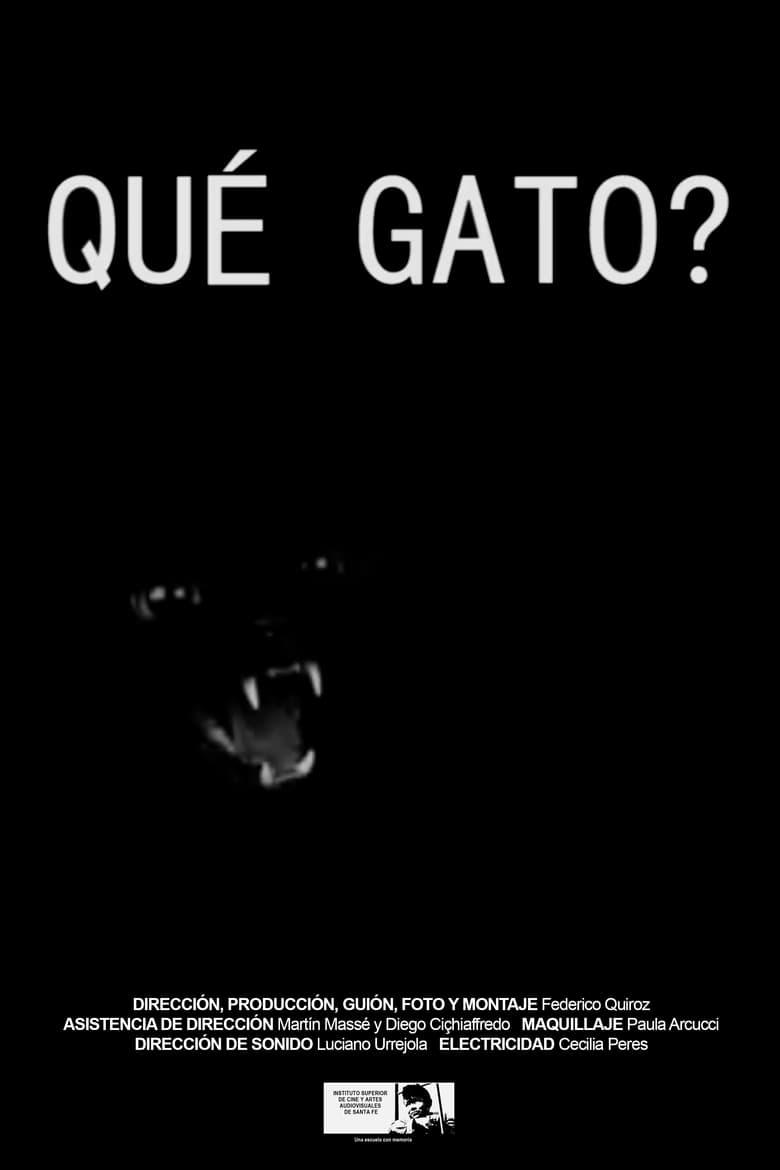 Poster of Qué gato?