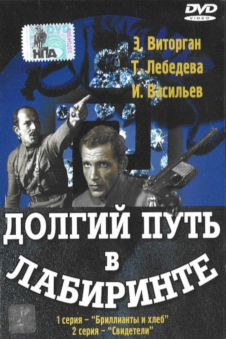 Poster of Долгий путь в лабиринте