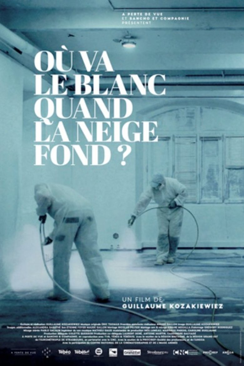Poster of Où va le blanc quand la neige fond