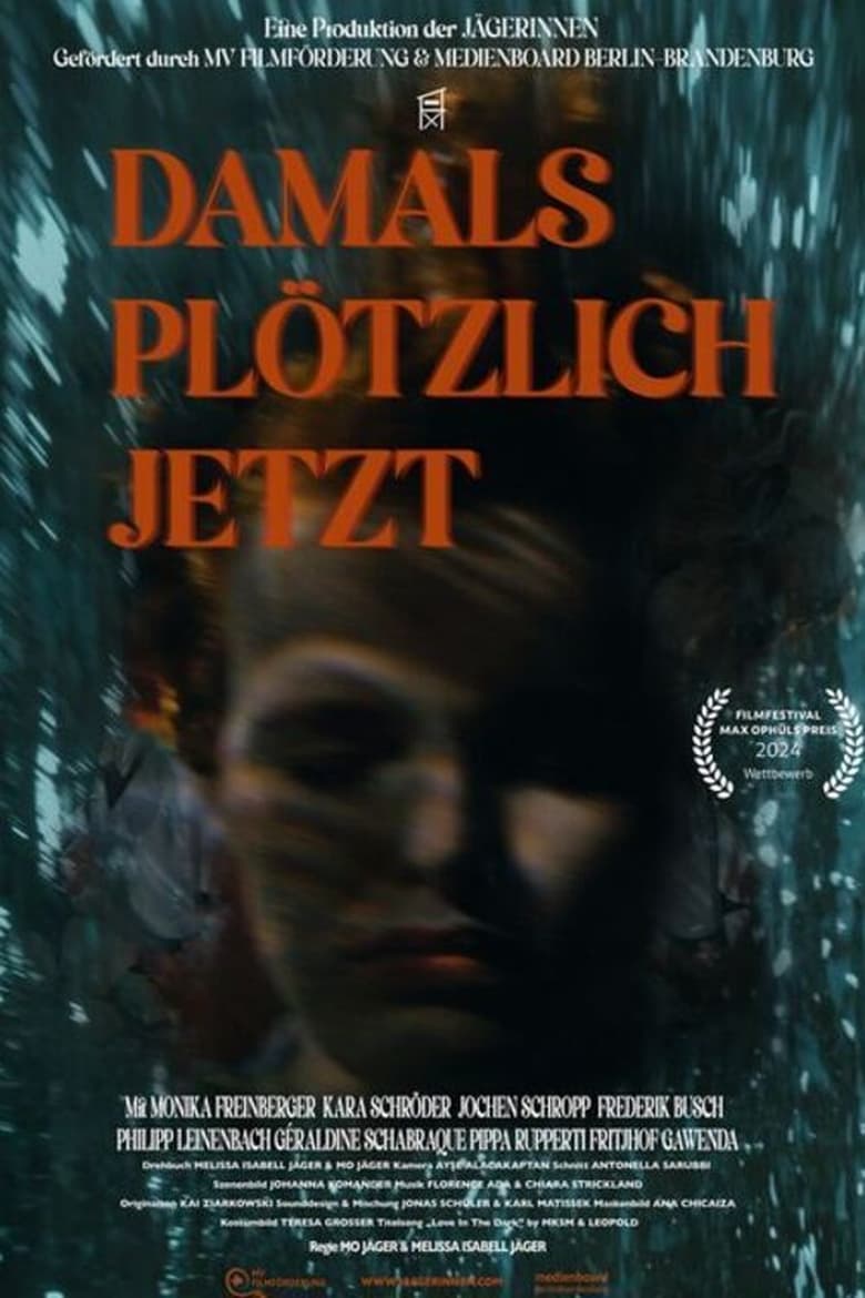 Poster of Damals plötzlich jetzt