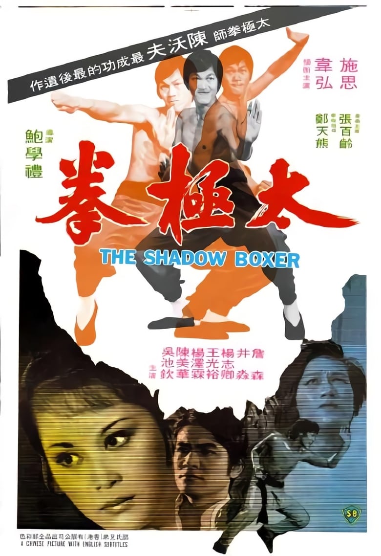 Poster of The Shadow Boxer