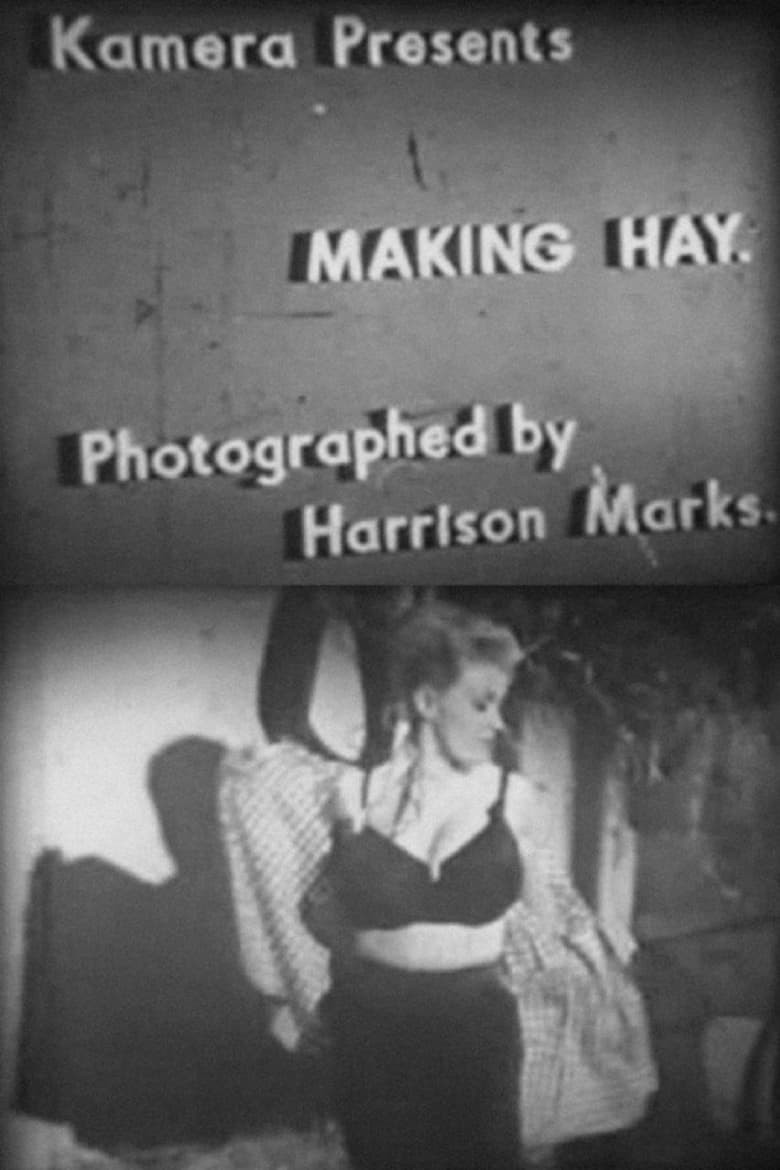 Poster of Making Hay