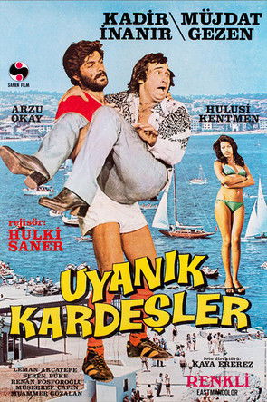 Poster of Uyanık Kardeşler