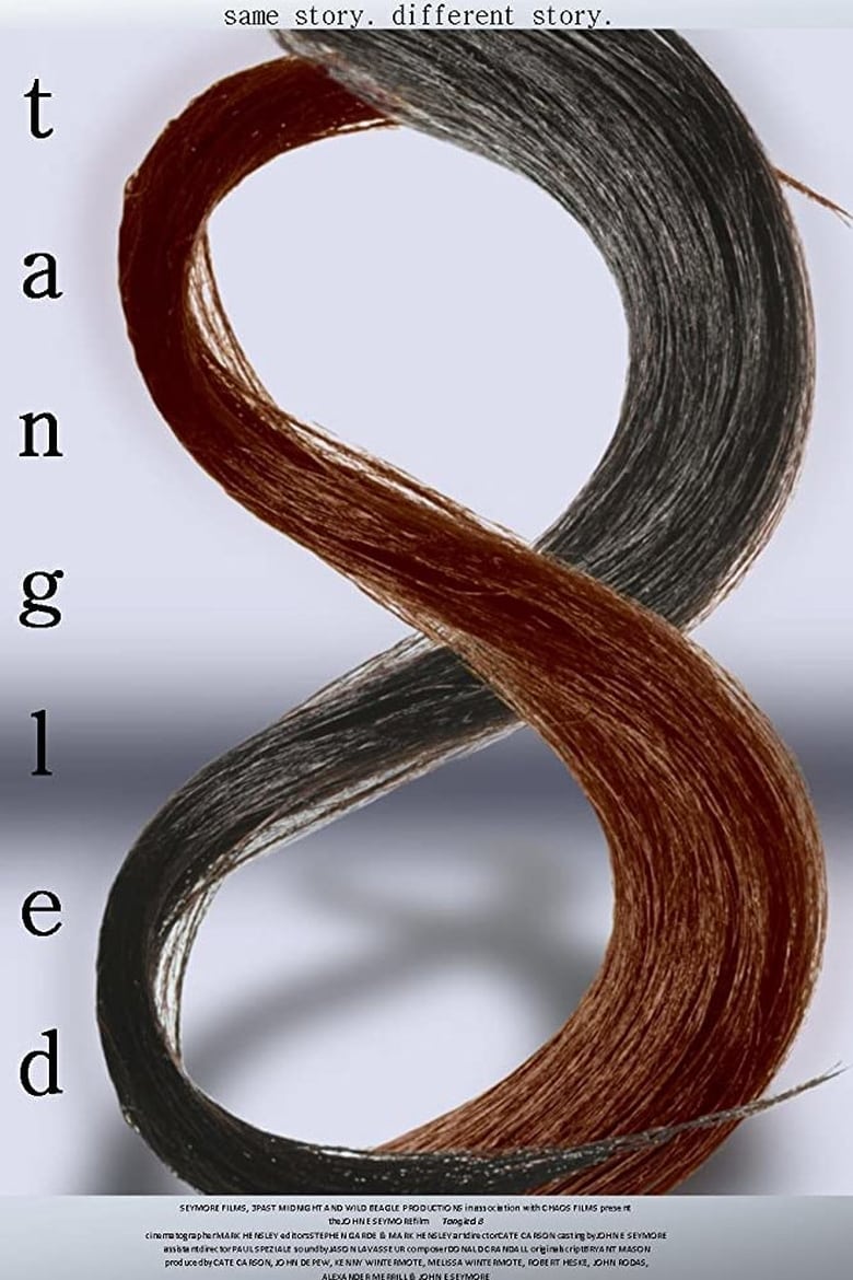 Poster of Tangled 8