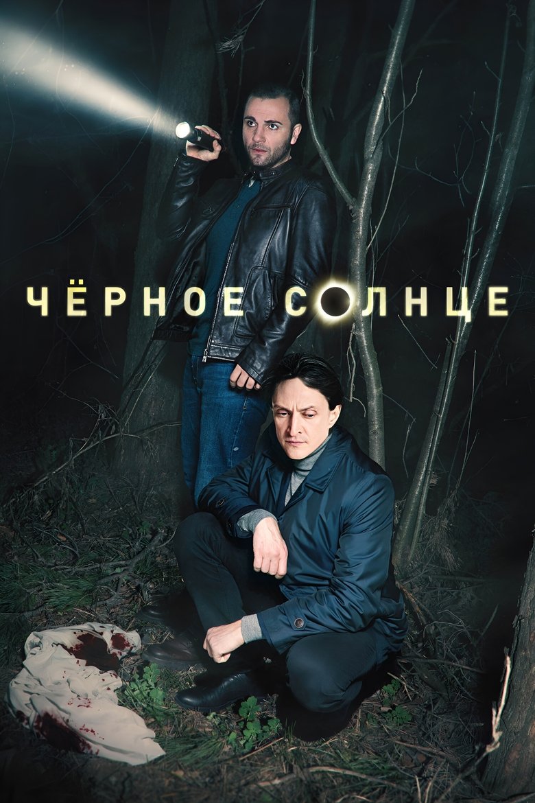 Poster of Чёрное солнце